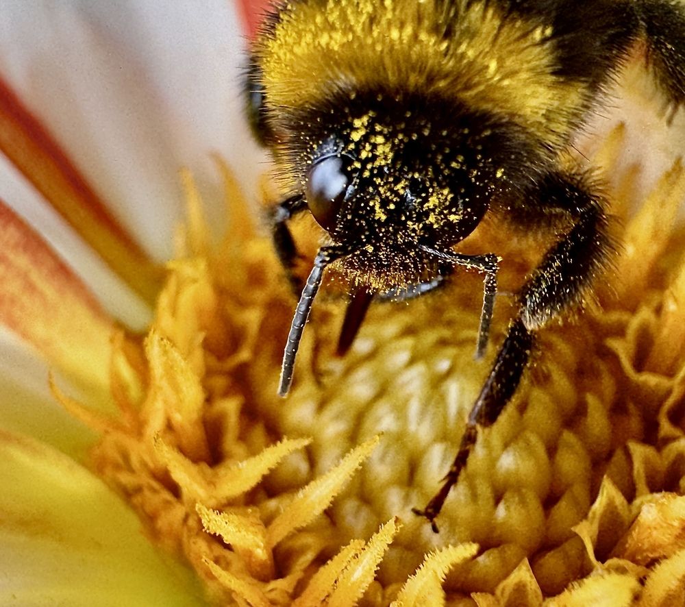 Photograph by Oxana Petlina