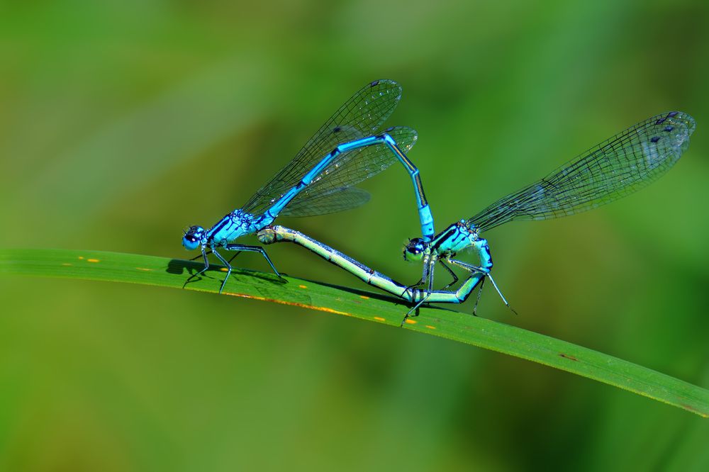 Photograph by Вячеслав Ладанов