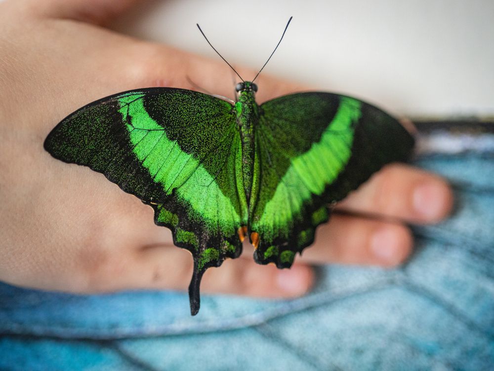 Photograph by Елизавета Богданова