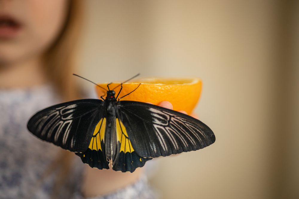 Photograph by Елизавета Богданова