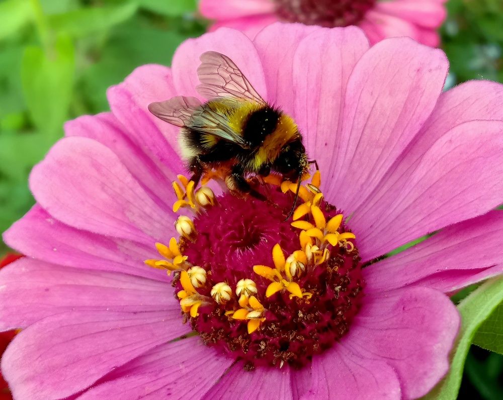 Photograph by Глеб Кузьминых