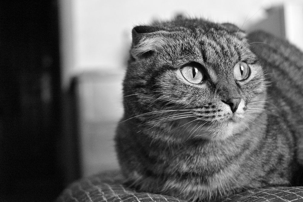 Photograph by Владислав Левашов