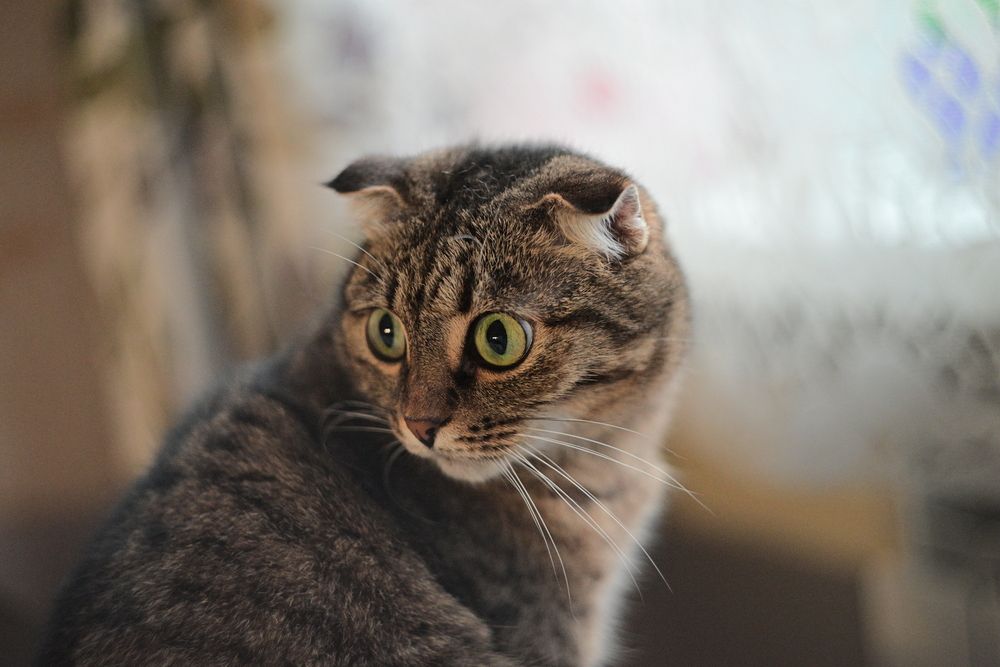 Photograph by Владислав Левашов