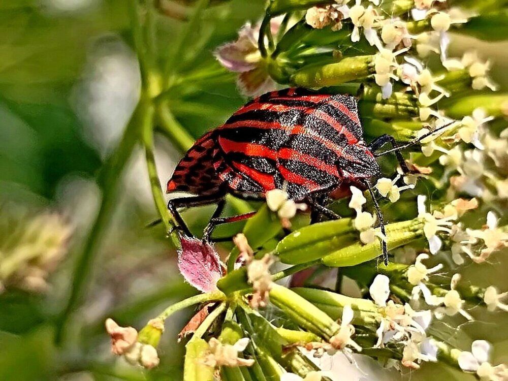 Photograph by Михаил Столяров