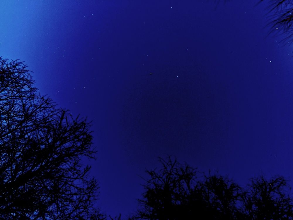 Photograph by Светлана Веселовская