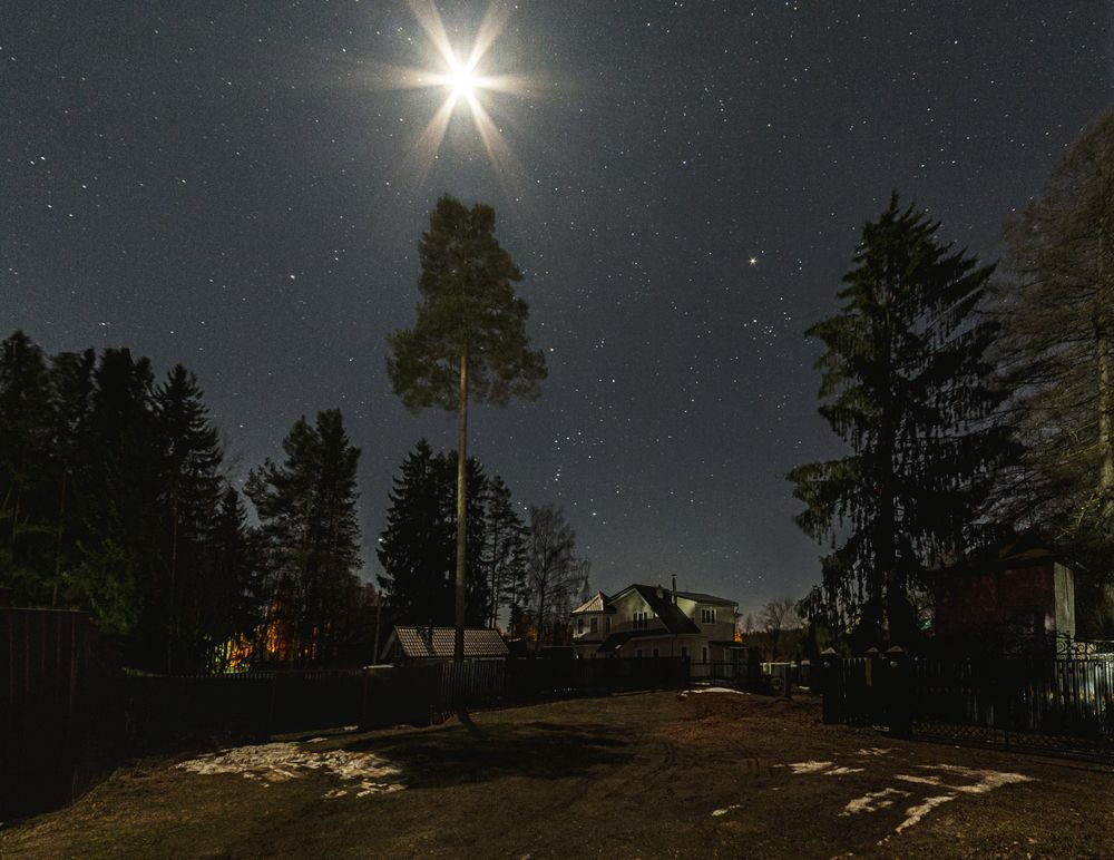 Photograph by Алена Ерошкина