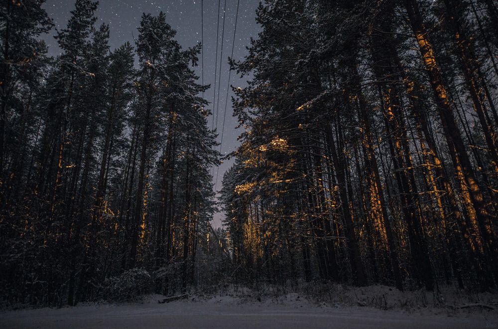 Photograph by Ivan Chestnykh