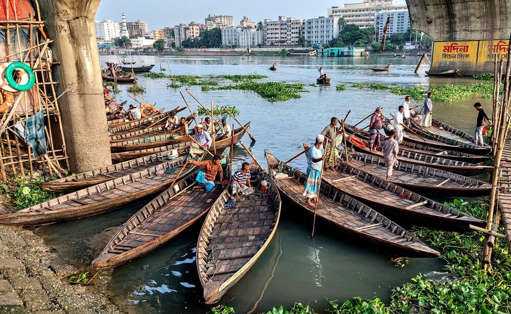 Фотография автора Mohammed Rifatul Alam Siam