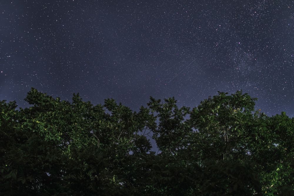 Photograph by Олег Мороз