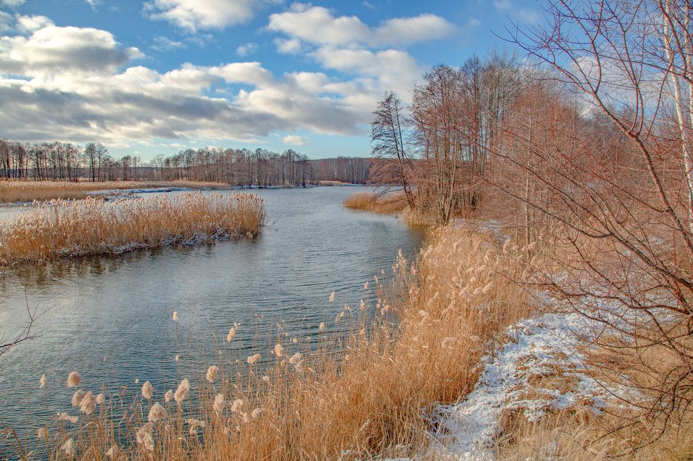 Photograph by Виталий Новиков