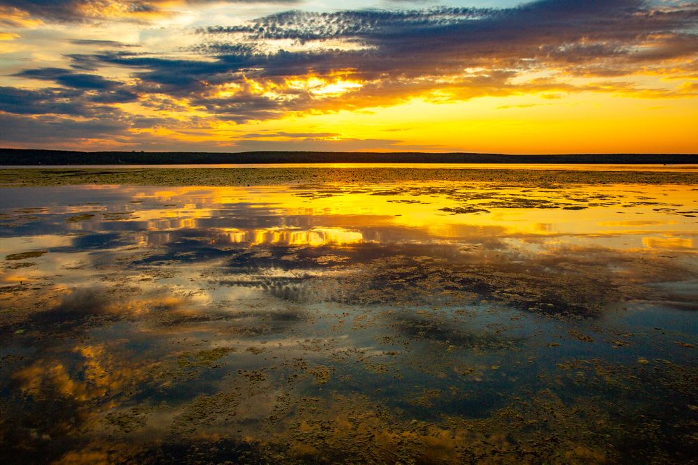 Photograph by Виталий