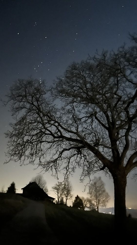 Photograph by Екатерина