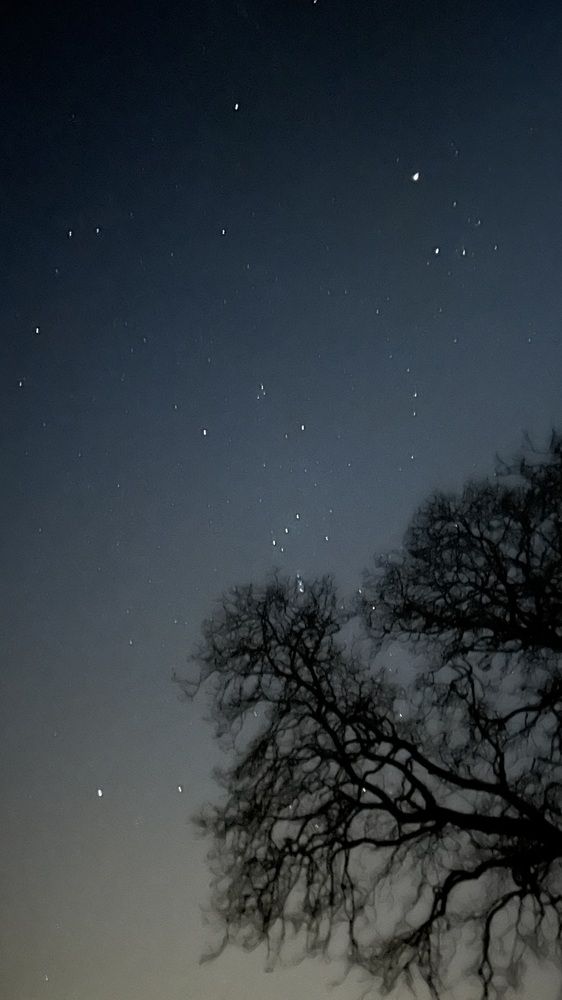 Photograph by Екатерина