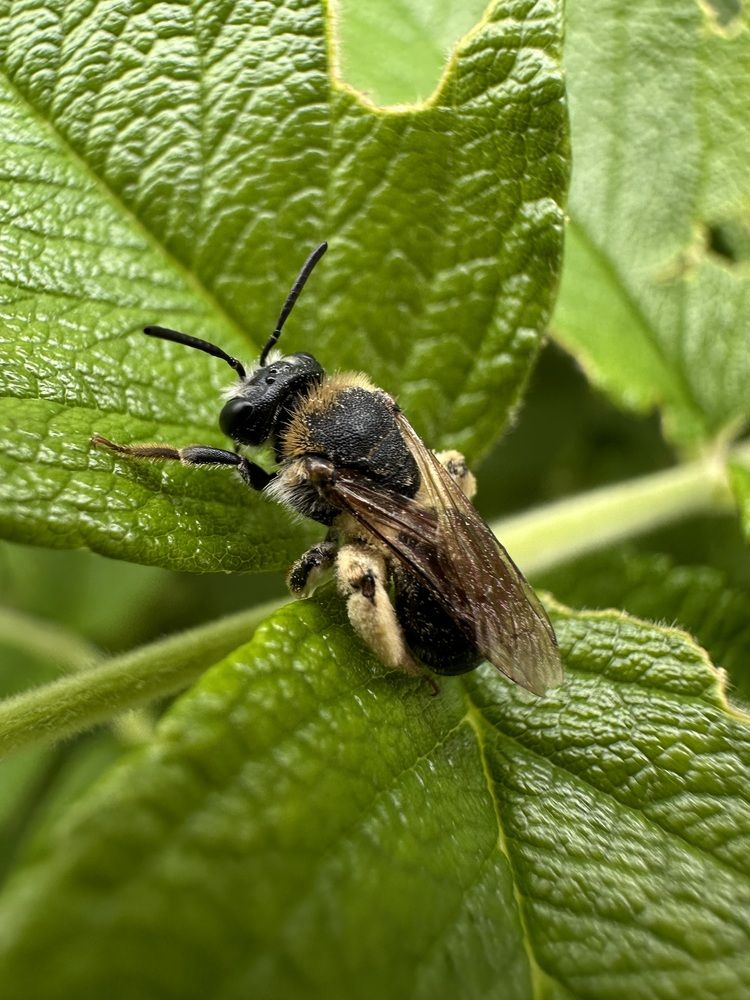 Photograph by Екатерина Корчагина