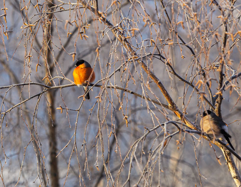 Photograph by Виталий Са