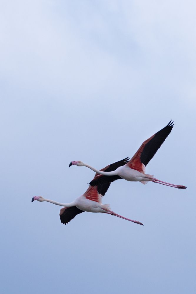 Photograph by Юлия Григоренко
