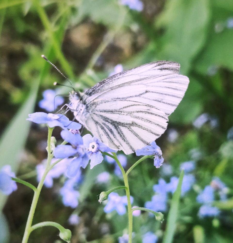 Photograph by Olena Chertous