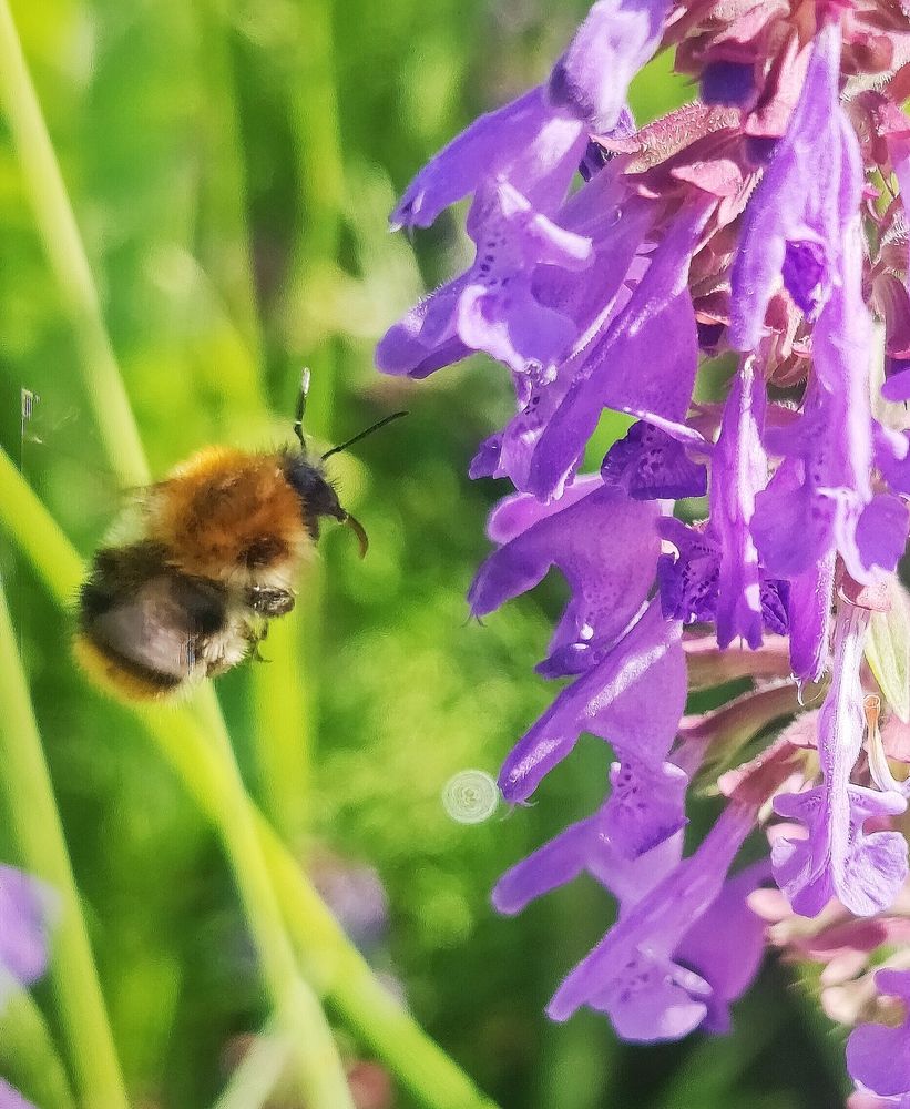 Photograph by Olena Chertous