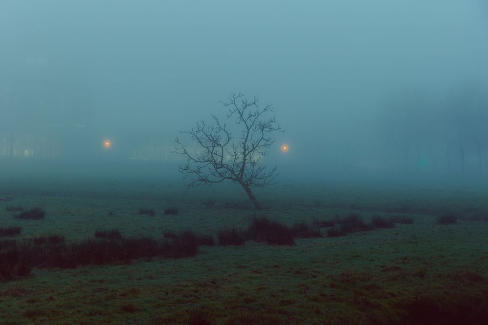 Photograph by Sun Fengzhen