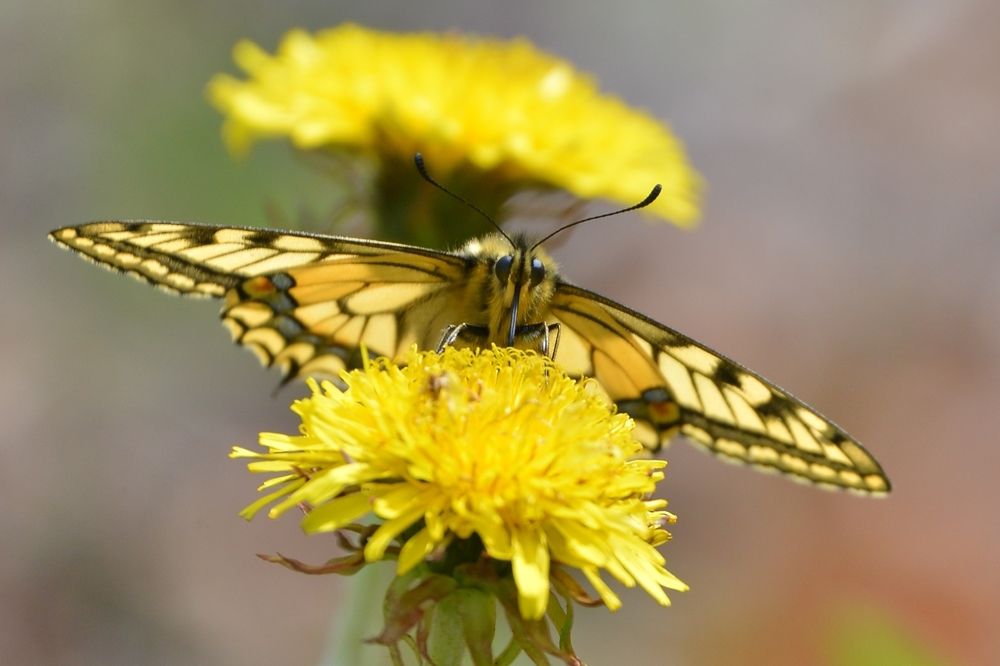 Photograph by Валерия Ковалева