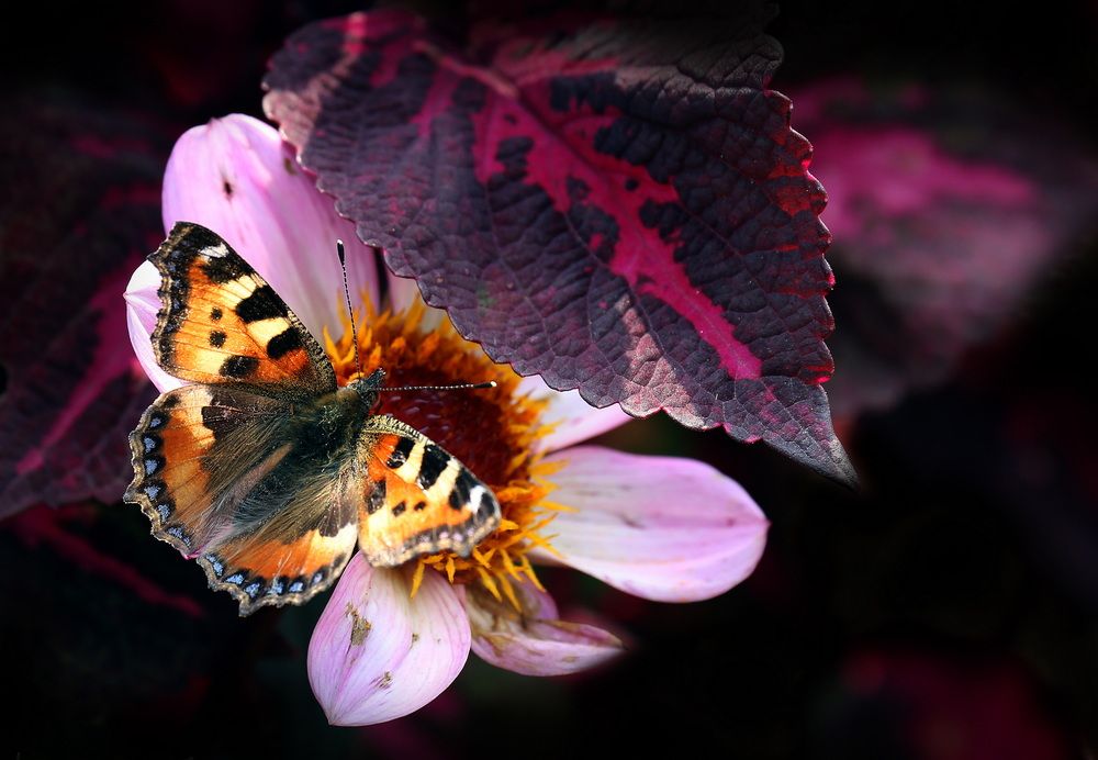 Photograph by Бибичков Михаил