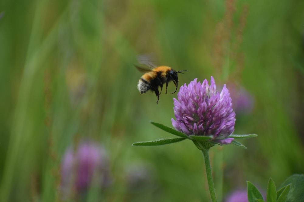 Photograph by Валерия Ковалева