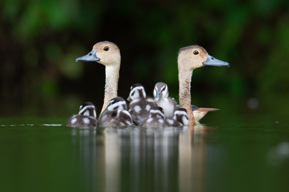 Family means togetherness — in every ripple of life.