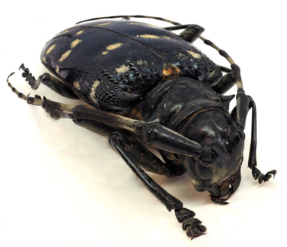 Photograph by Павел Кулинич