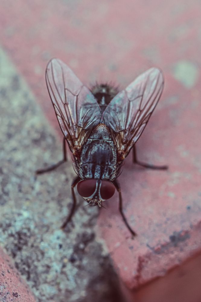 Photograph by Аня Косс