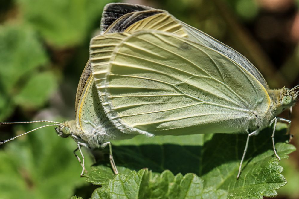 Photograph by Аня Косс