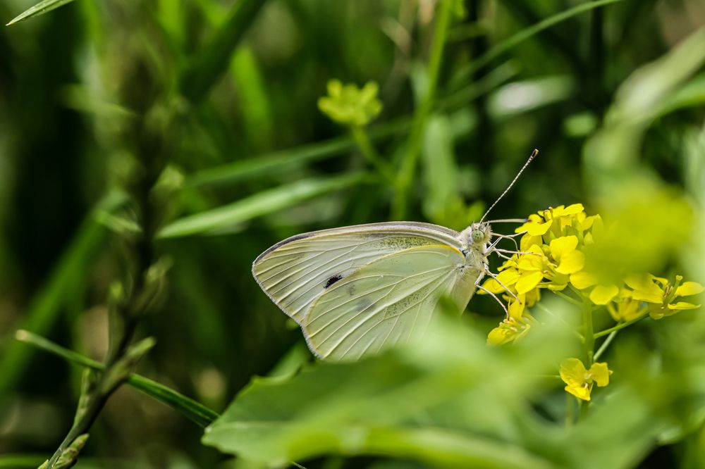 Photograph by Аня Косс