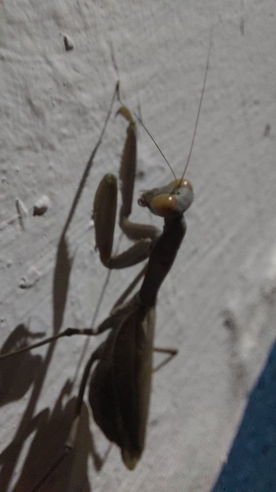 Фотография автора Анатолий Дячина