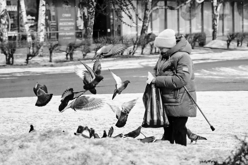 Photograph by Ласьков Евгений