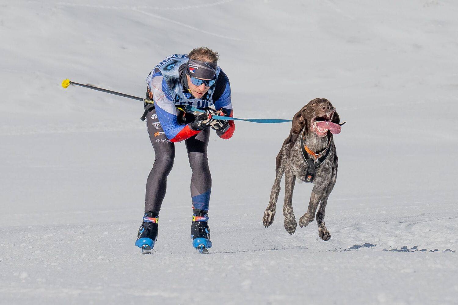 Фотография #12075021