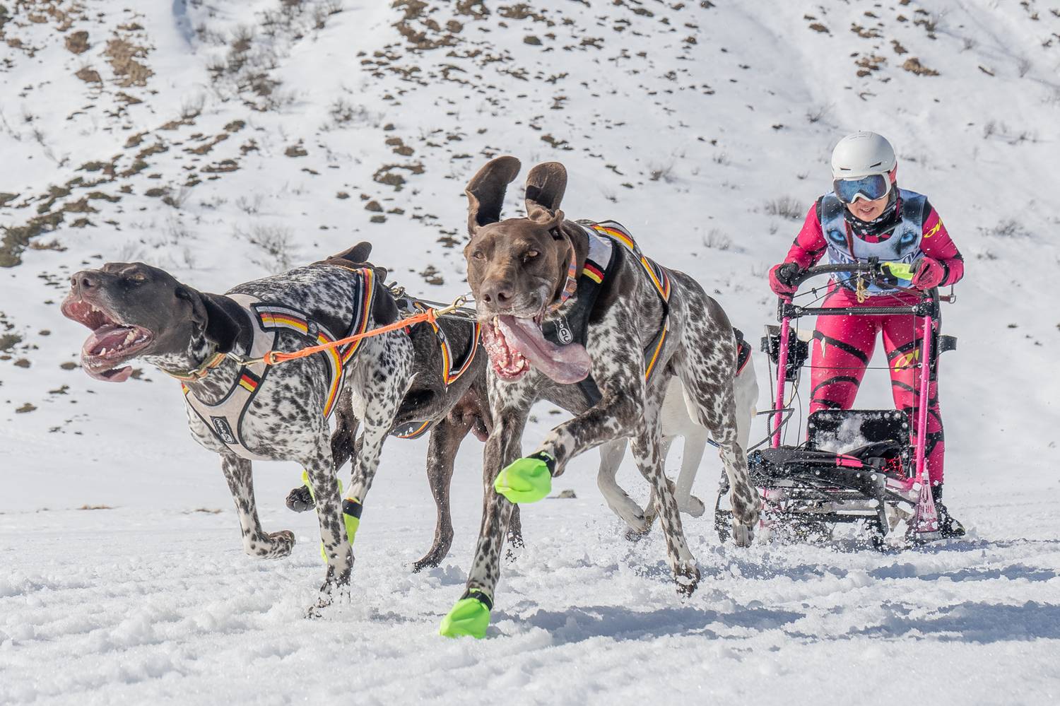 Фотография #12075023