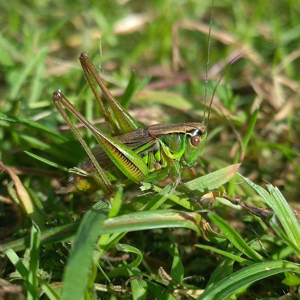 Фотография автора Светлана Капитонова