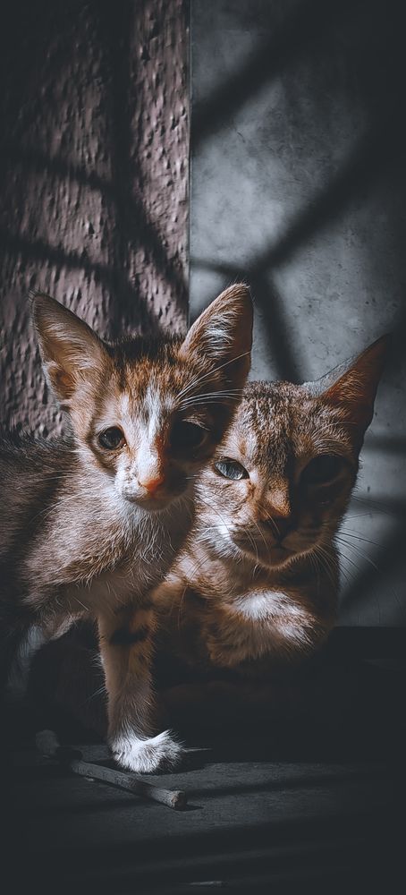Photograph by Akshay Chauhan