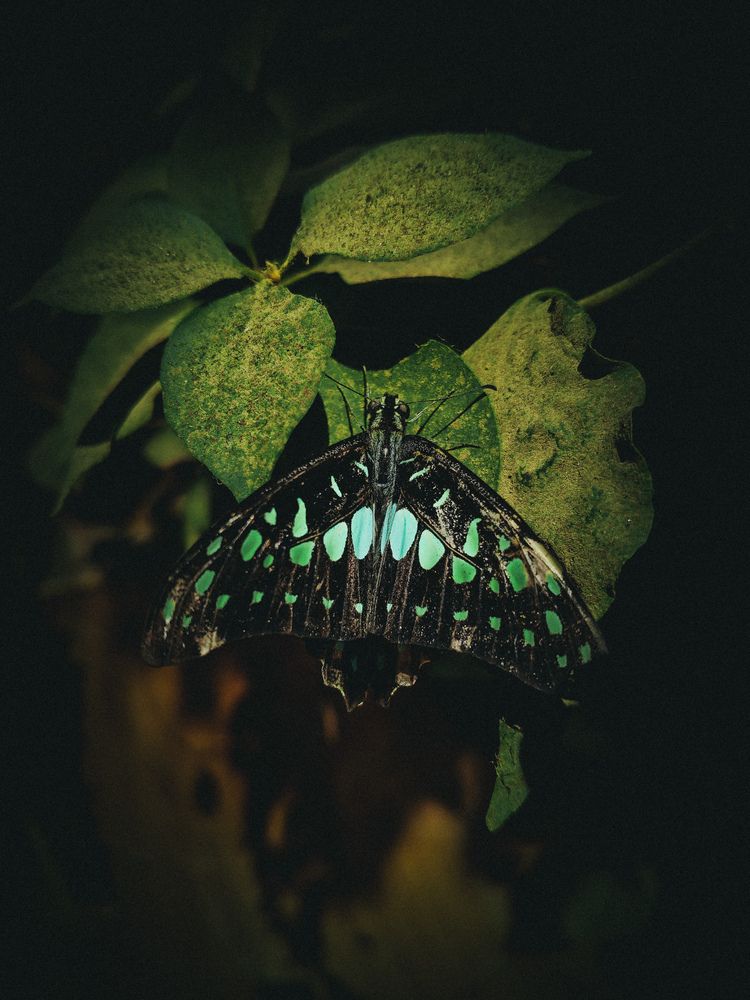 Photograph by Akshay Chauhan