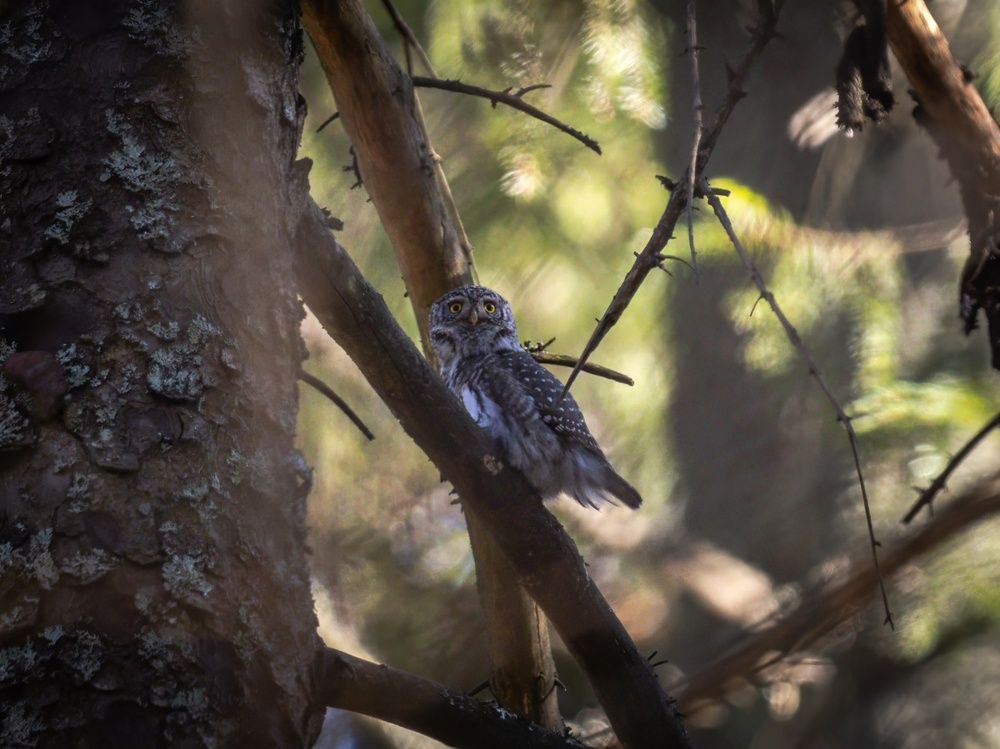 Photograph by Хабаров Сергей