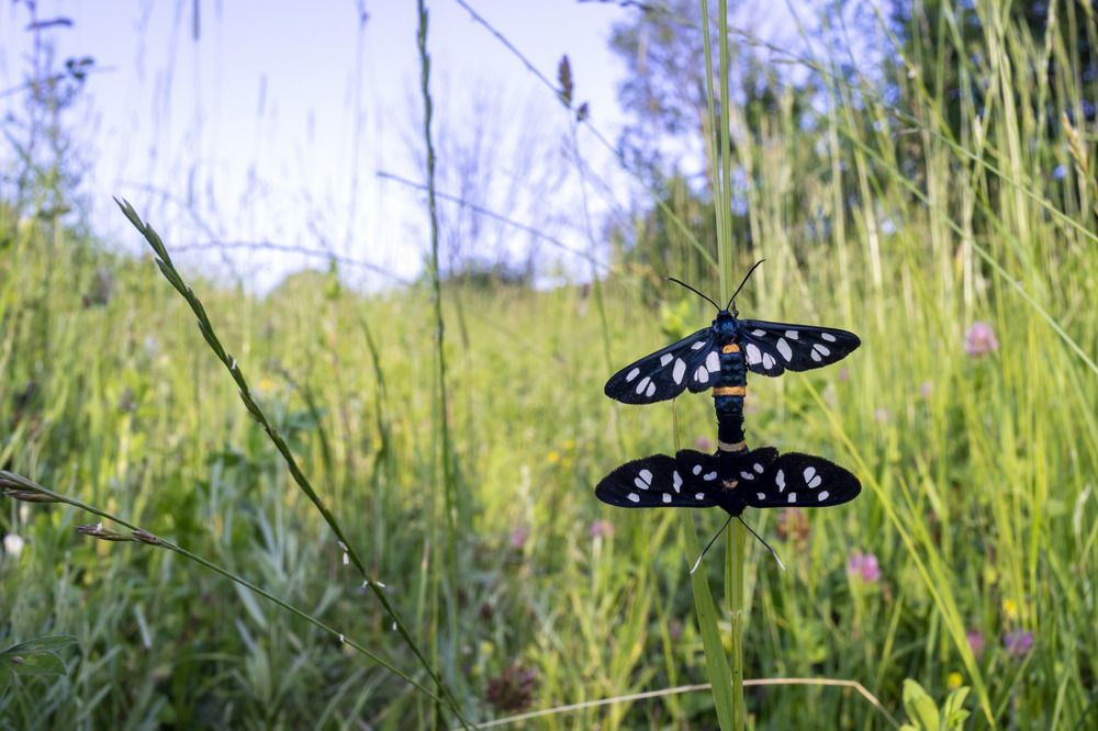 Photograph by BULUR Ozgur Kerem