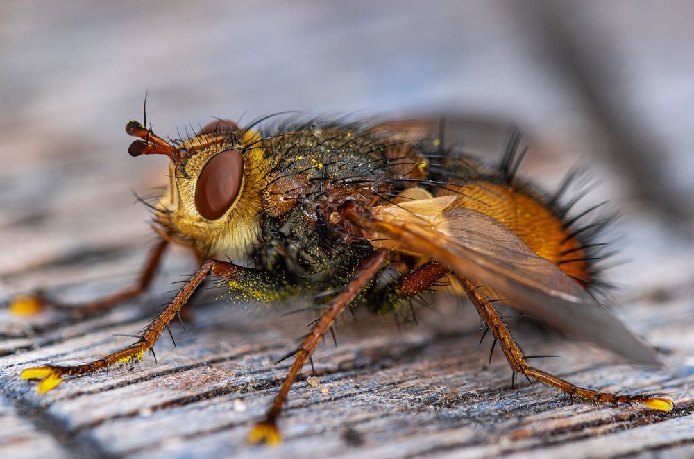 Photograph by Наталья