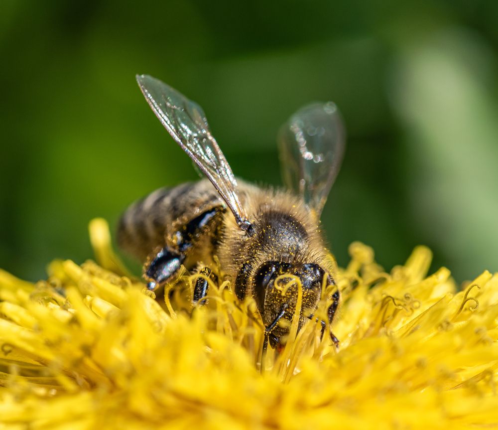 Photograph by Наталья