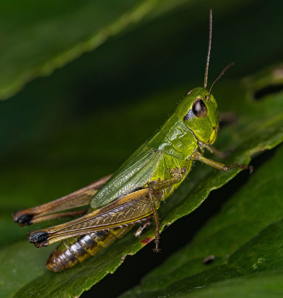 Photograph by Наталья