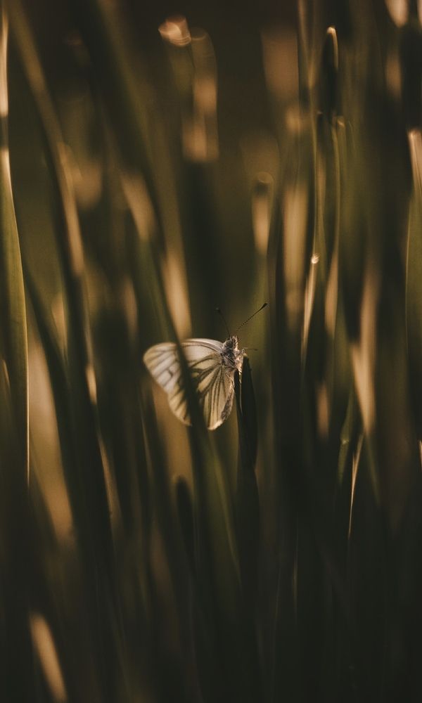 Photograph by Ксения Исаева