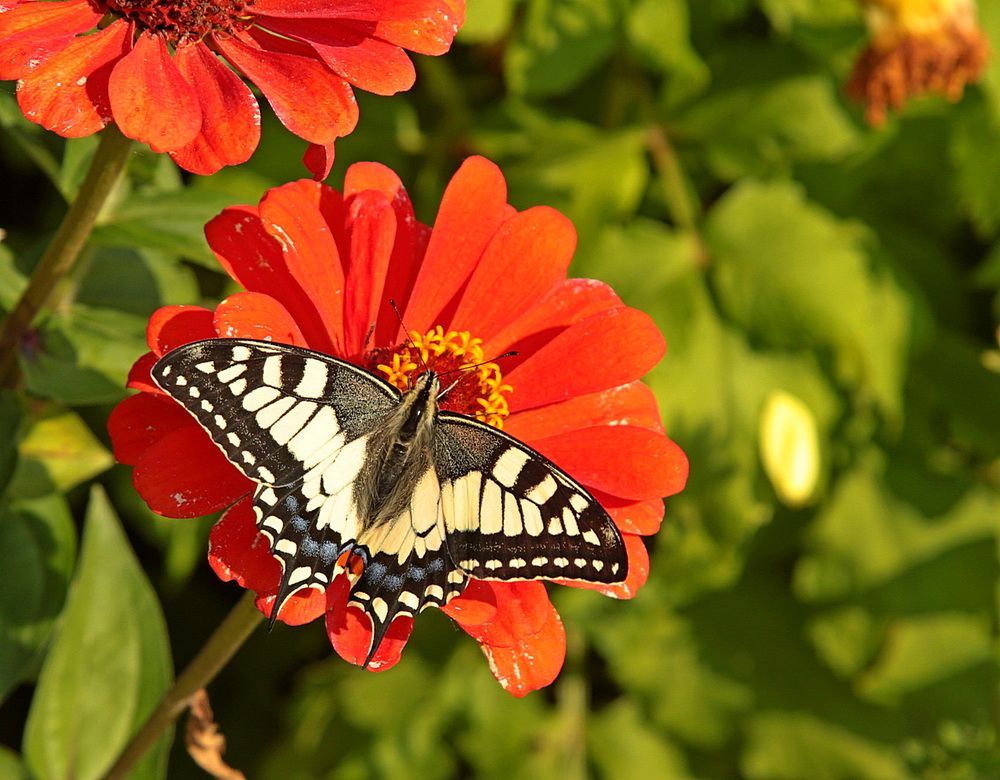 Фотография автора Александр Кожевников