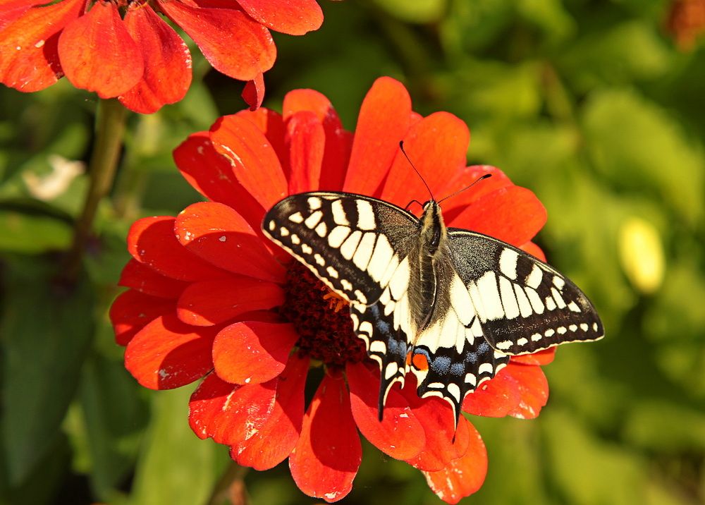 Фотография автора Александр Кожевников