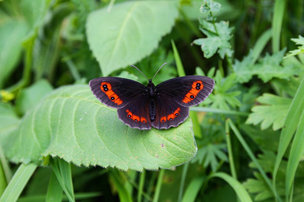 Photograph by Виктория