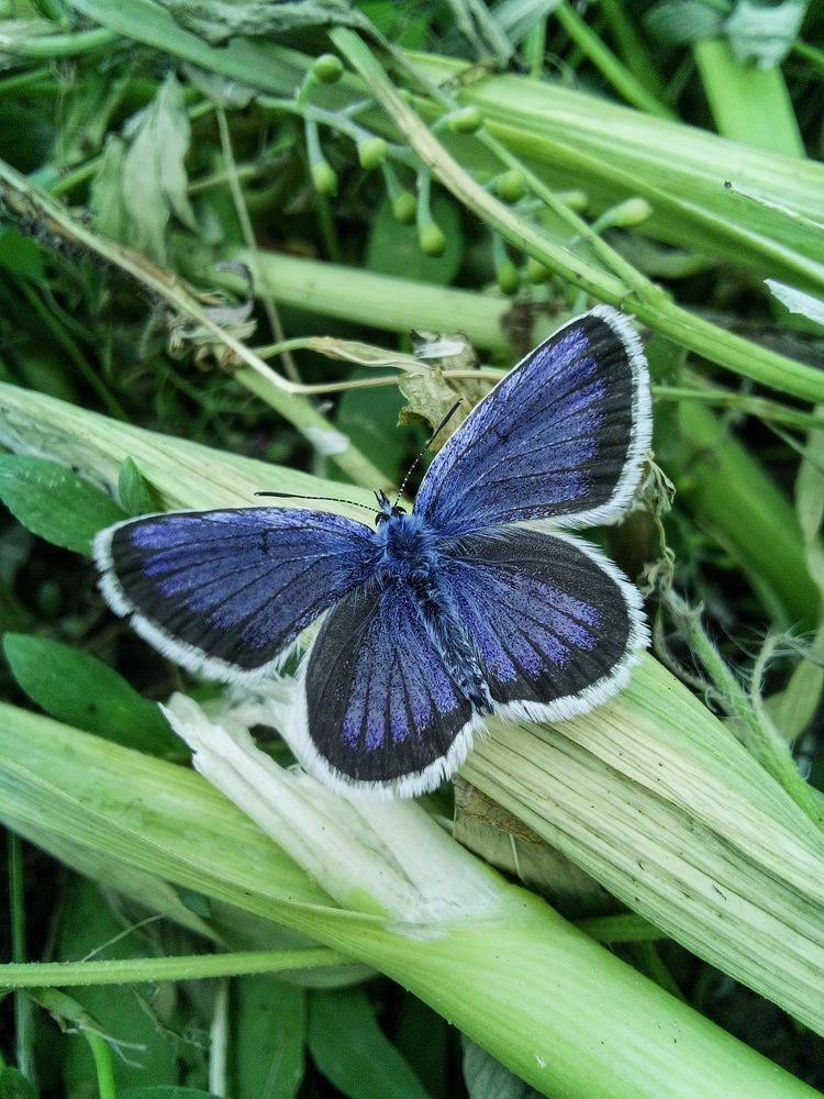 Photograph by Виктория