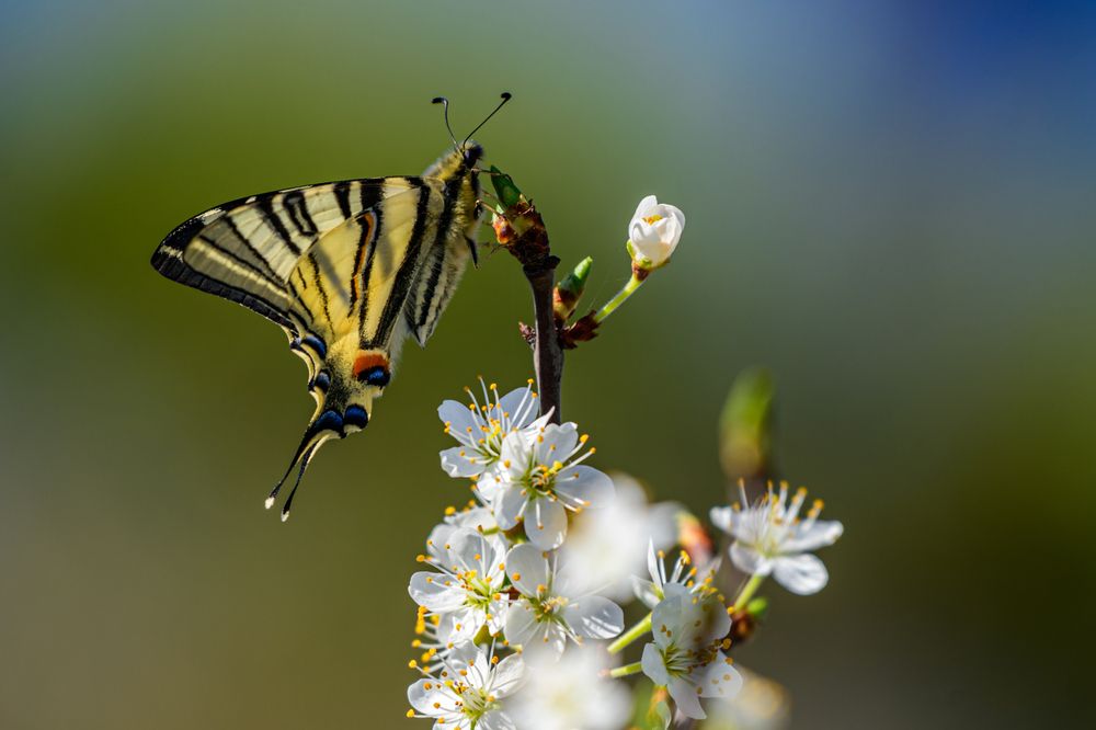 Photograph by levi bagy