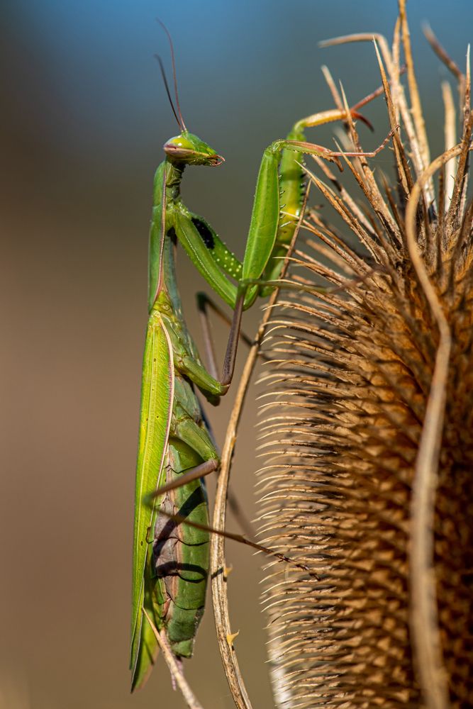 Photograph by levi bagy